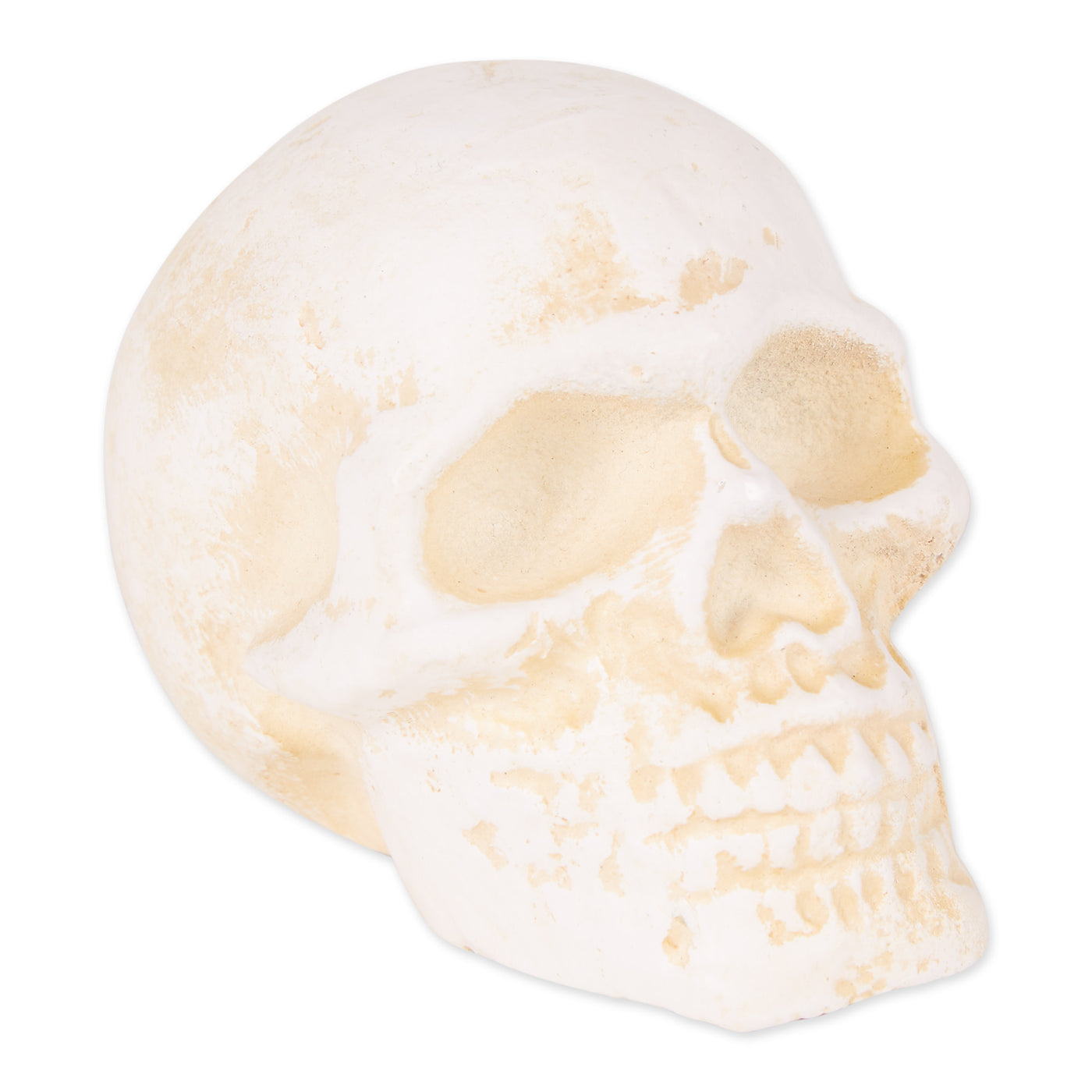 HUMAN SKULL CAST IRON PAPERWEIGHT