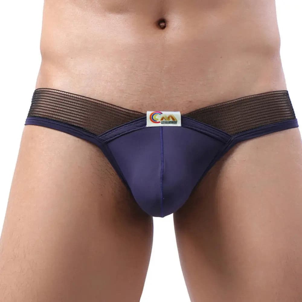 Mens Underwear T-Back G String Thong Sexy Bulge Pouch Ice Silk Transparent Waist Lingerie Sapphire /